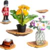 Wiosi 5-Piece Turkey Gill Mushroom Floating Shelves image 2