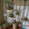 Wiosi 5-Piece Turkey Gill Mushroom Floating Shelves image 15