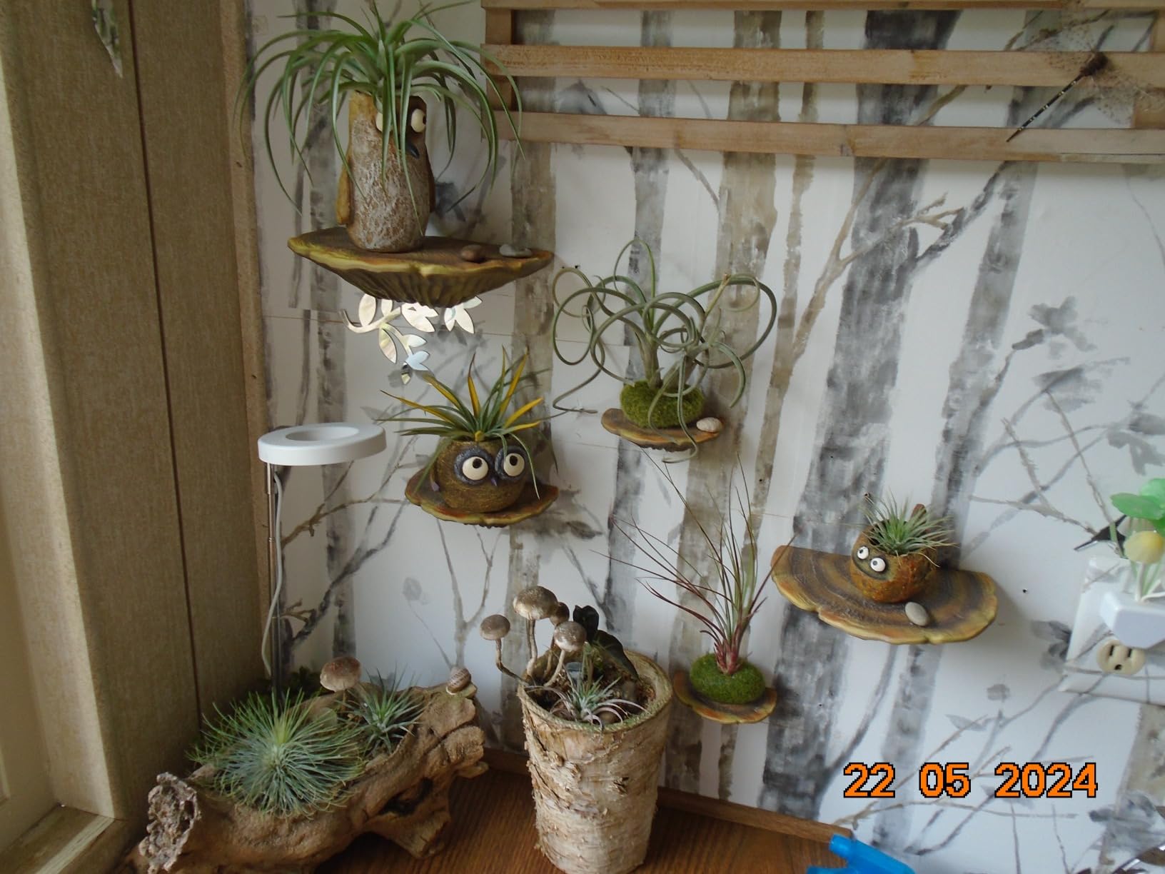 Wiosi 5-Piece Turkey Gill Mushroom Floating Shelves image 15