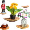 Wiosi 5-Piece Turkey Gill Mushroom Floating Shelves