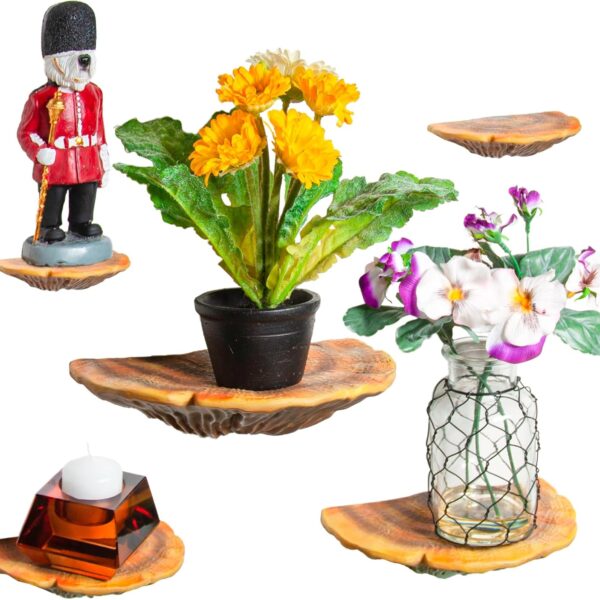 Wiosi 5-Piece Turkey Gill Mushroom Floating Shelves